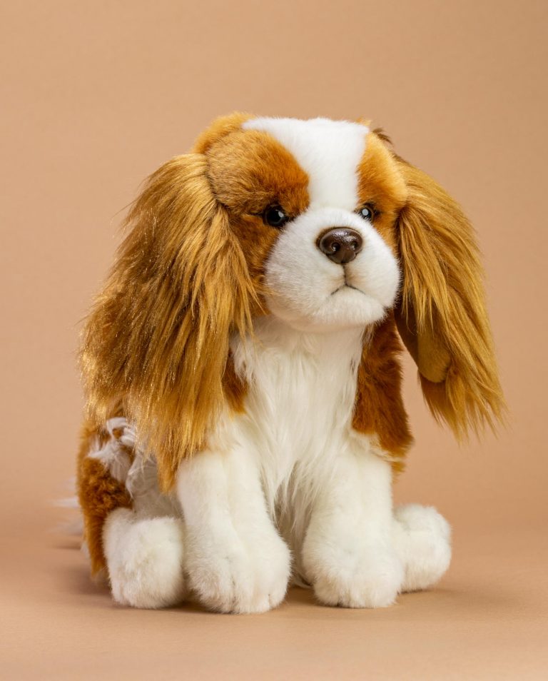 blenheim cavalier king charles spaniel