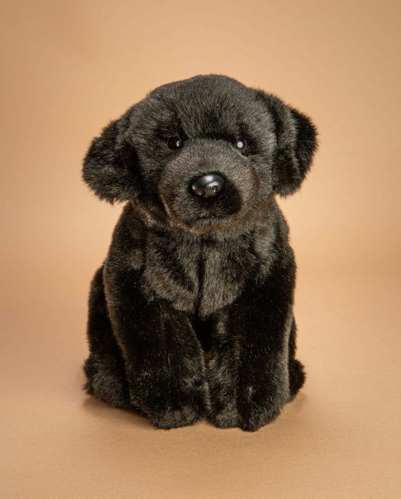 Black labrador soft sale toy