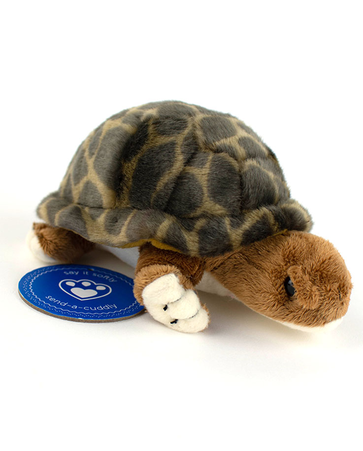 tortoise soft toy