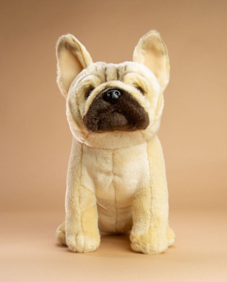 French Bulldog Soft Toy | French Bulldog Gifts | Send a Cuddly