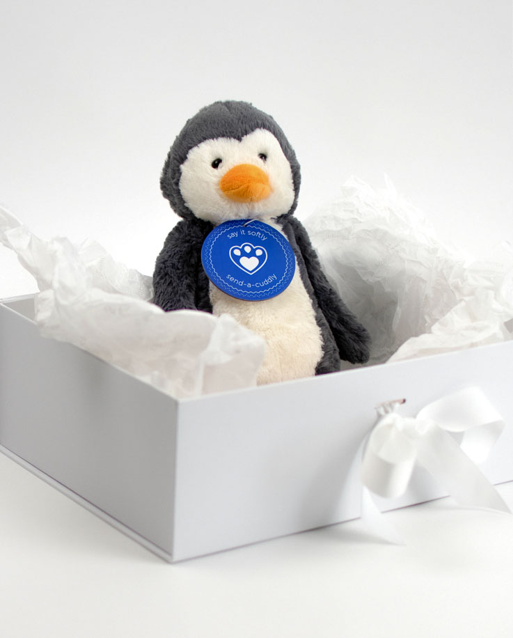 Jellycat Bashful Penguin | Bashful Penguin by Jellycat | Send a Cuddly