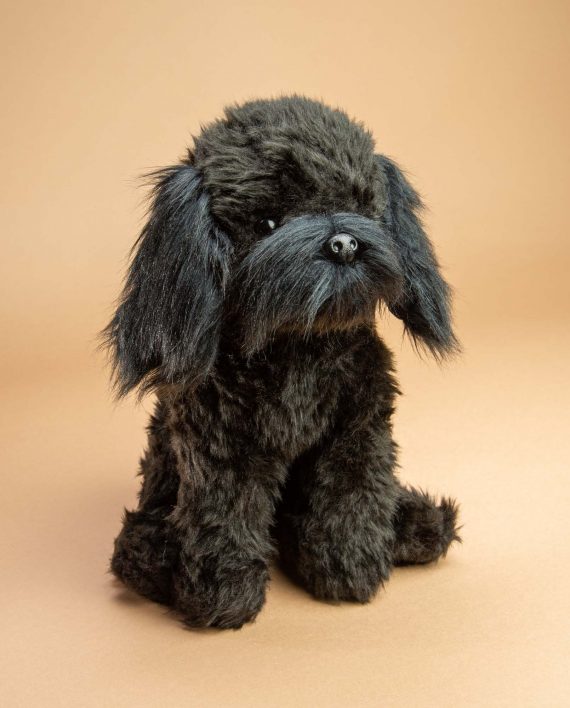 cockapoo cuddly toy