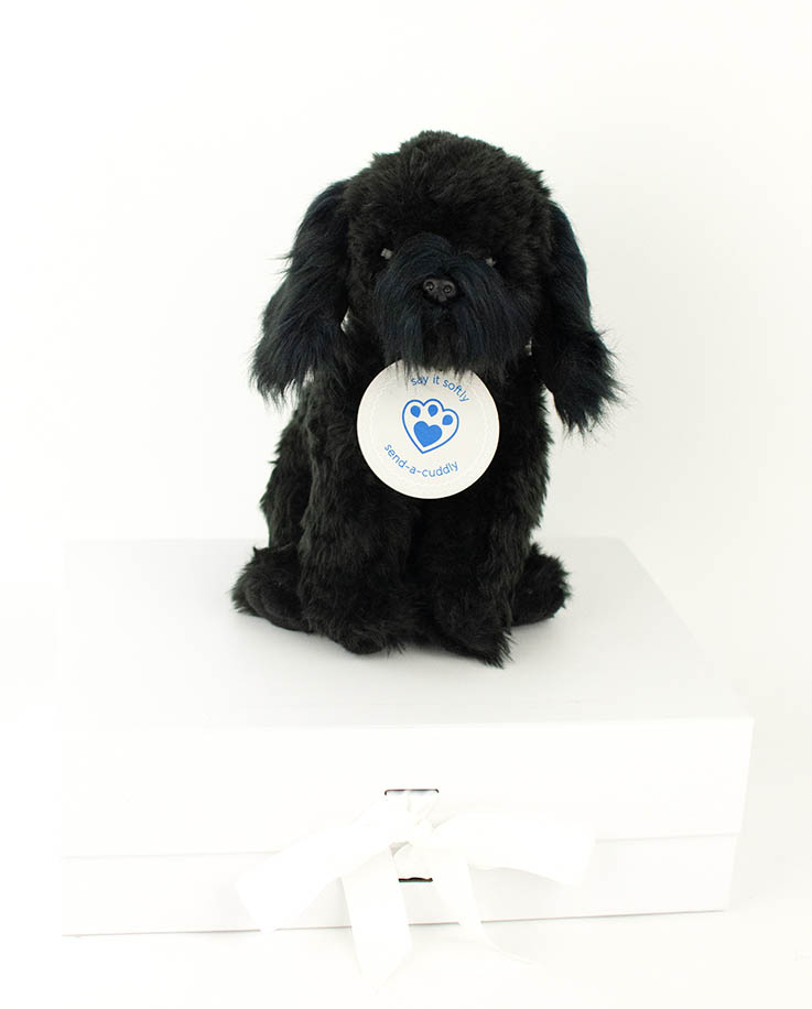 Black Cockapoo Gift | Soft Toy Gifts 