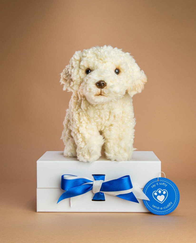 Labradoodle Soft Toy Labradoodle Cuddly Gift Send a Cuddly