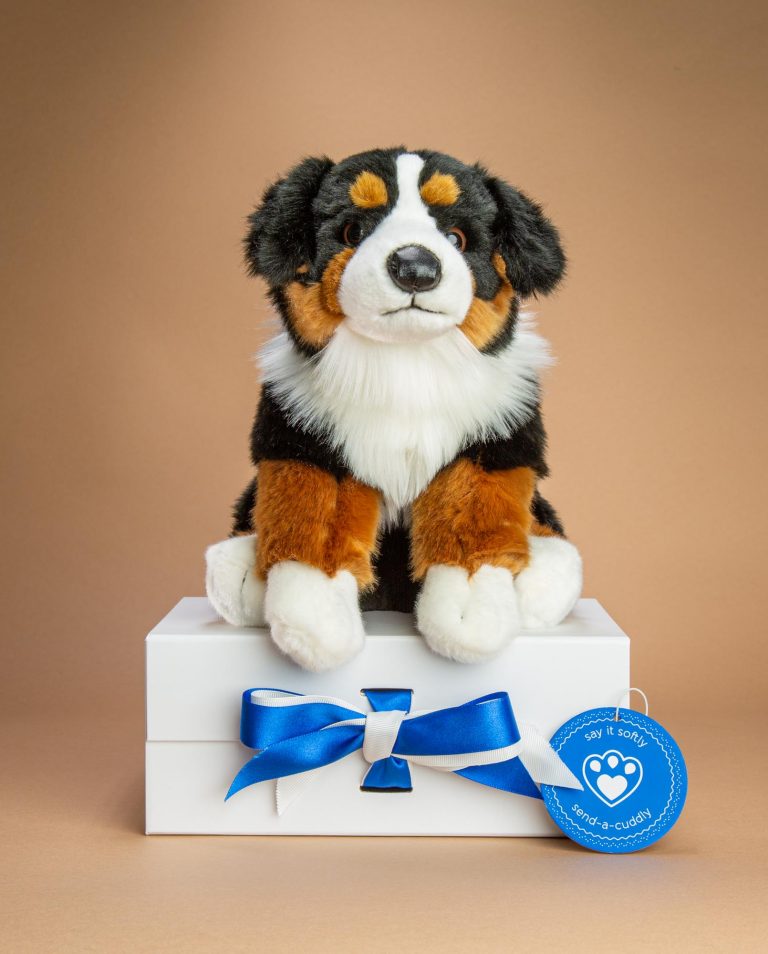 bernese mountain dog gifts