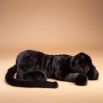 Black Panther Soft Toy Cuddly Gift Idea Order yours from Send a Cuddly