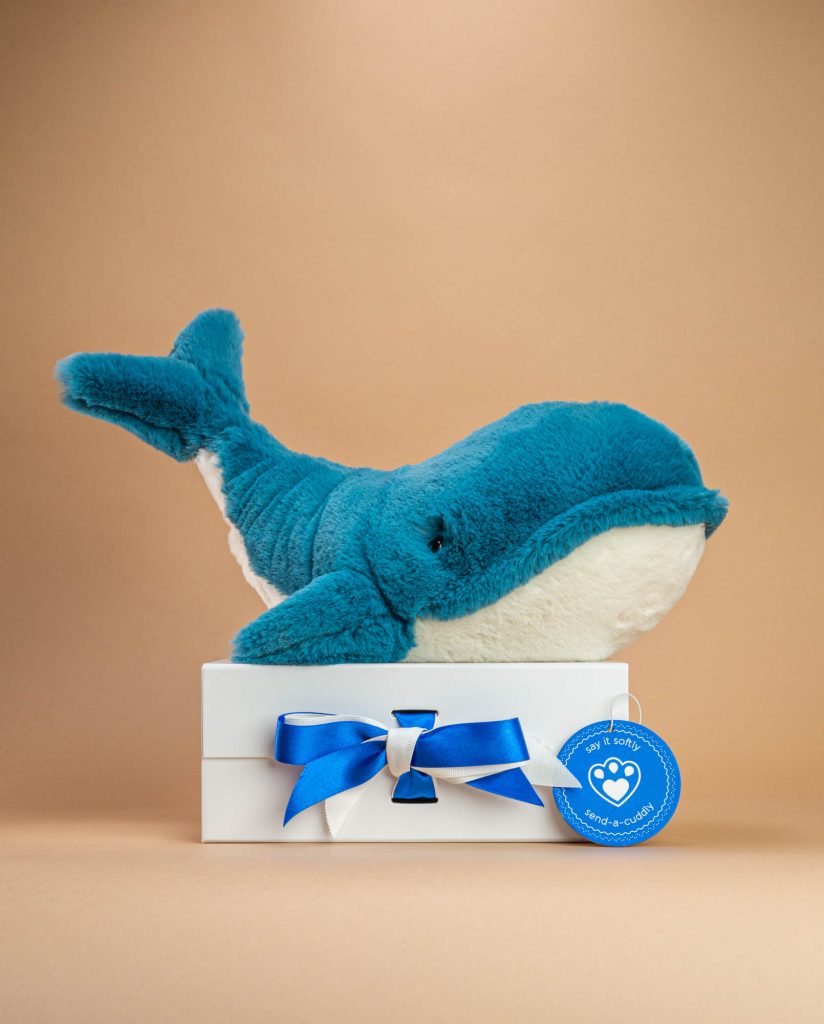 Wally store whale jellycat