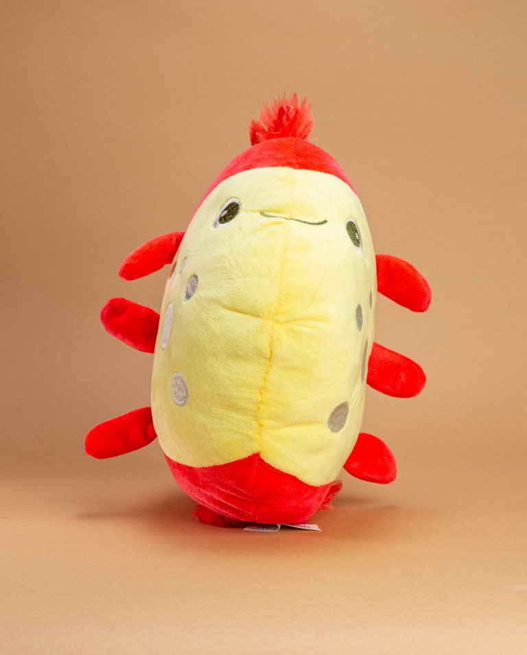 Cuddly Fish Soft Toy | Send a Fish with your message today | Gift Box