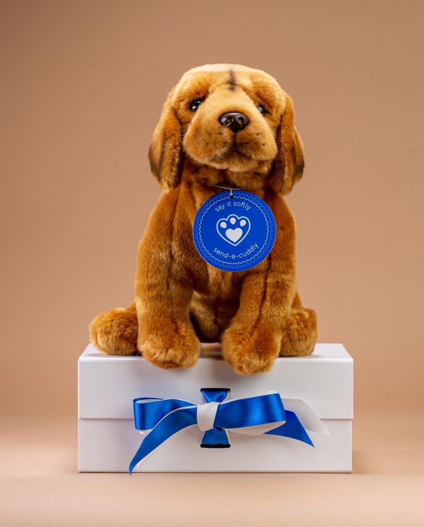 Vizsla plush shop