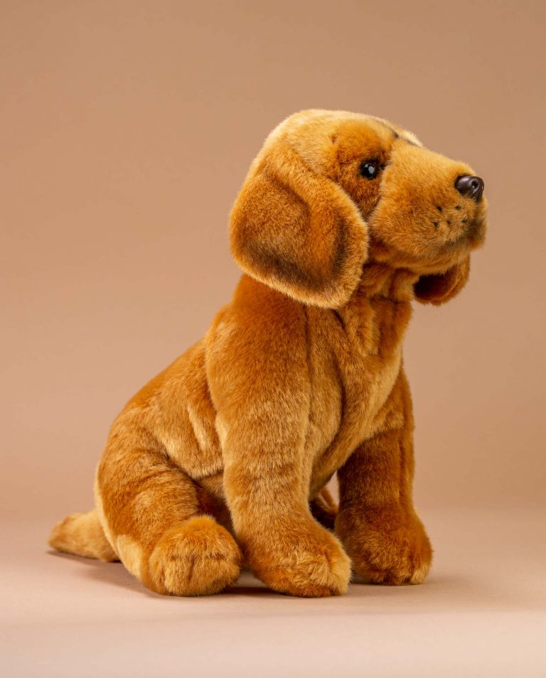 Hungarian Vizsla Gift | Gifts for Vizsla Lovers| Send a Cuddly dog today!