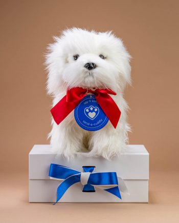 Maltese Cuddly soft toy dog - send a cuddly