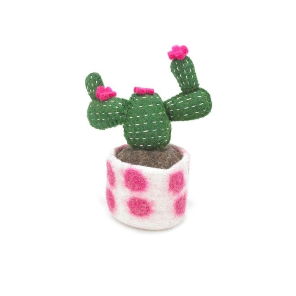 Prickly Pear Cuddly Cactus Gift | Cactus Soft Toy - Send a Cuddly.