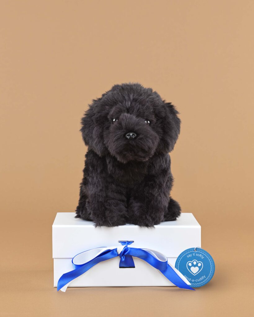 Black cockapoo cuddly toy on sale