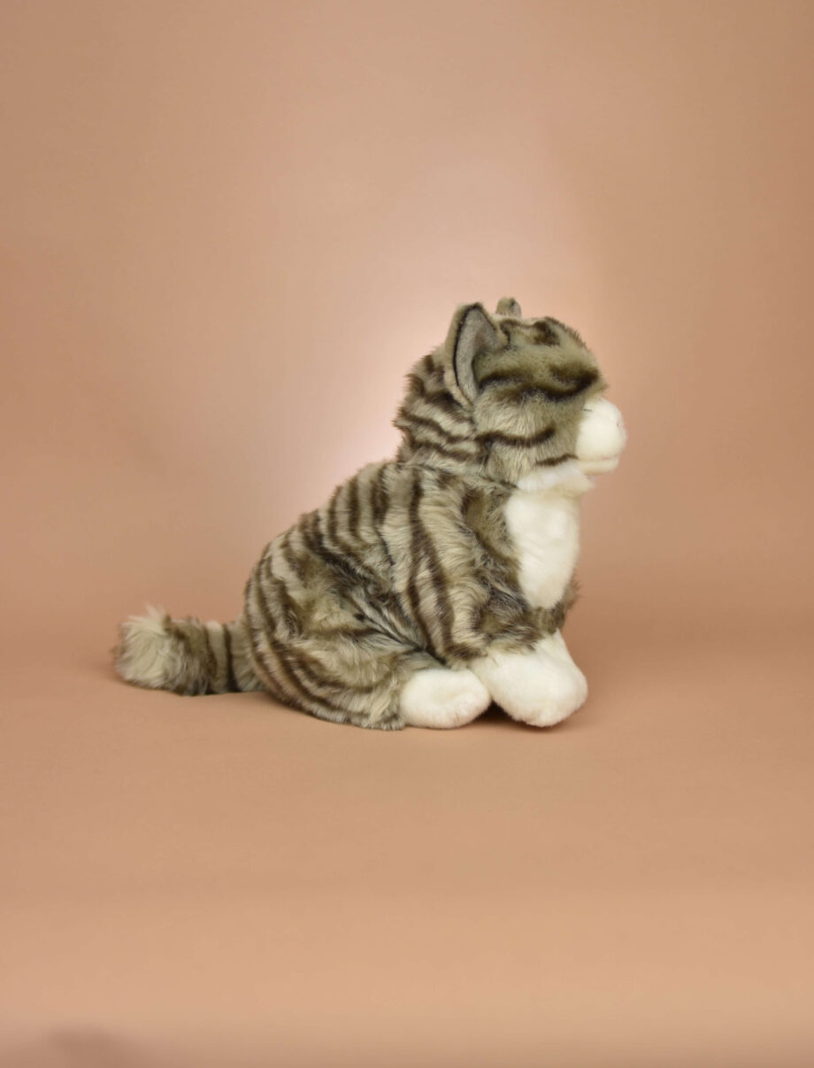 Tabby Cat soft Toy -Send a Cuddly