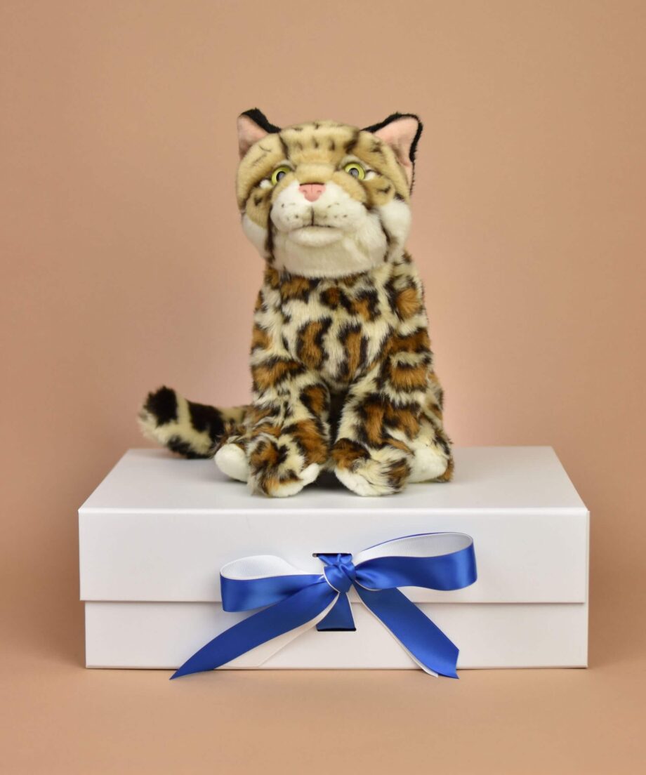 Bengal Cat soft toy - Send a cuddly