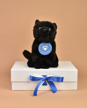 Black Cat soft toy - Send a Cuddly