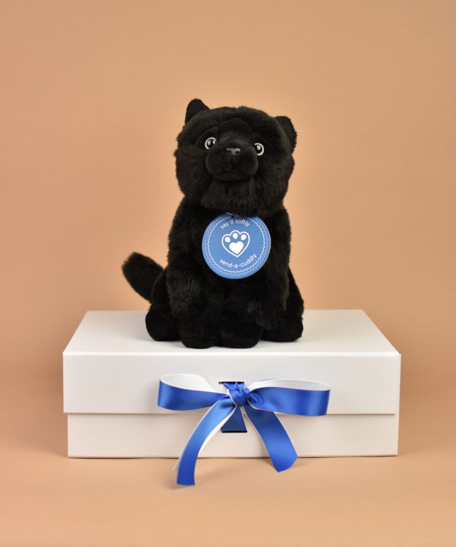 Black Cat soft toy - Send a Cuddly