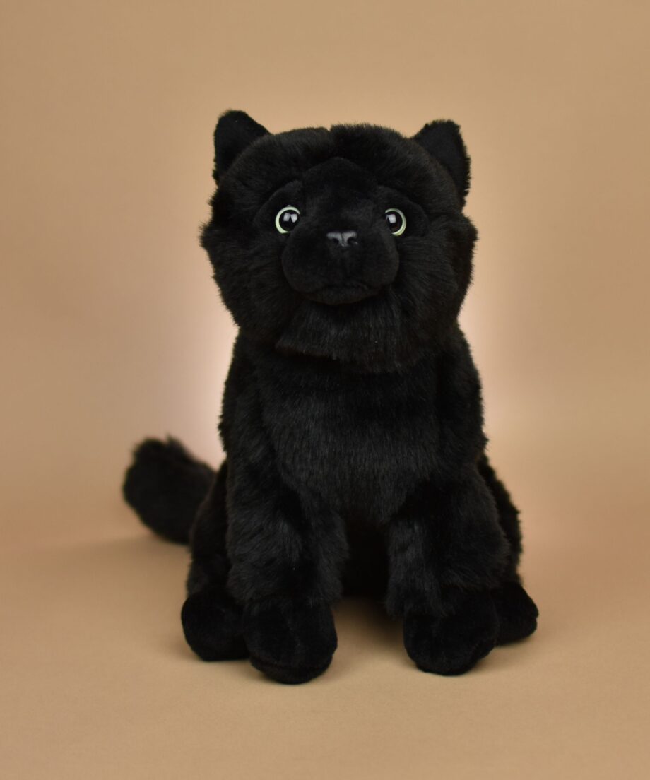 Black Cat cuddly toy - send a cuddly