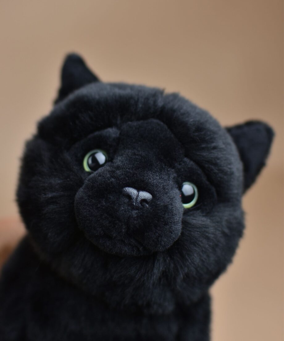 Black Cat soft toy - Send a Cuddly