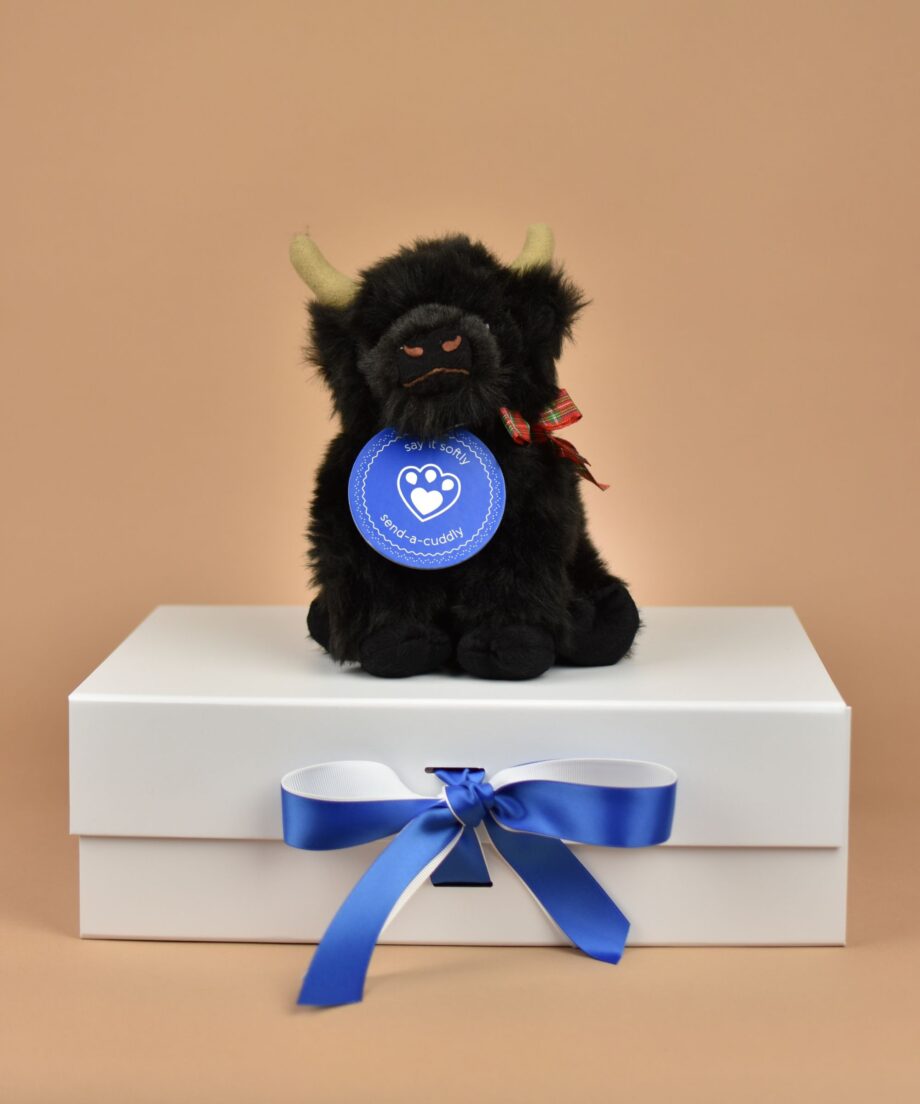 Black Highland Cow soft toy - Send a Cuddly