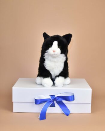 Black and White Cat soft toy - Send a Cuddly