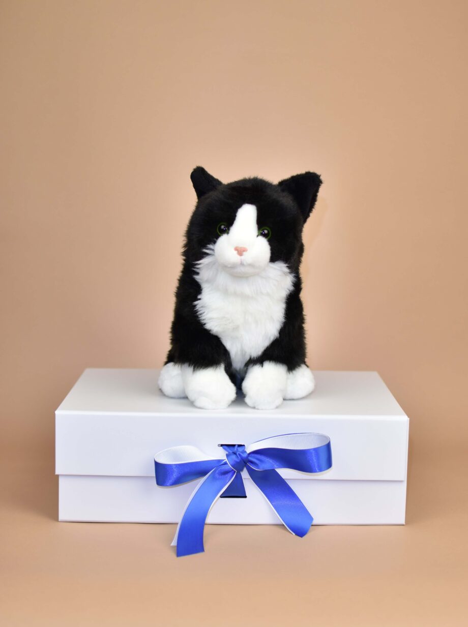 Black and White Cat soft toy - Send a Cuddly