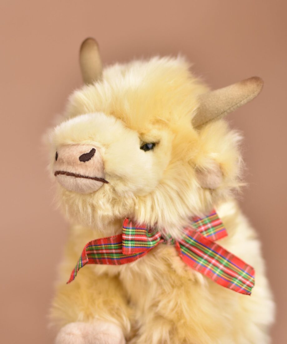 Cream Highland Cow - Send a Cuddly