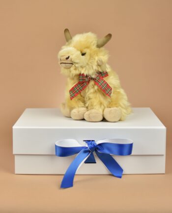 Cream Highland Cow - Send a Cuddly