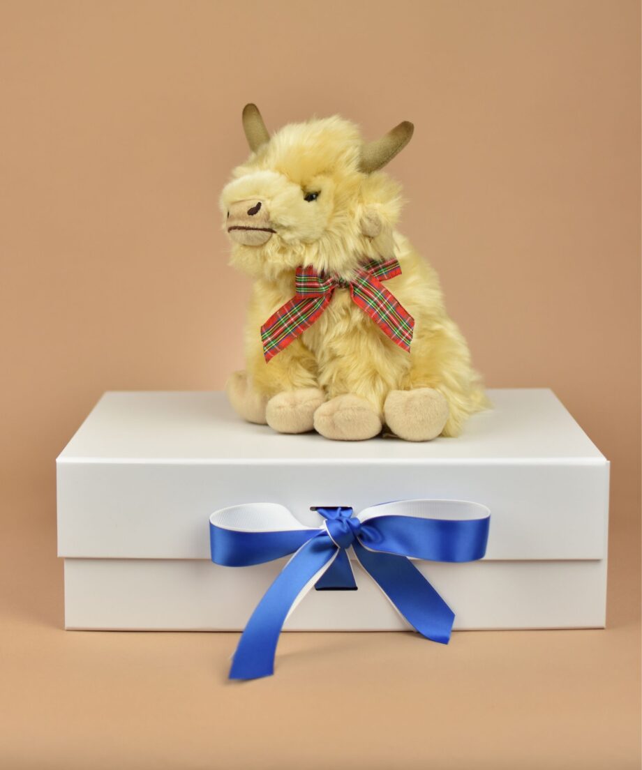 Cream Highland Cow - Send a Cuddly