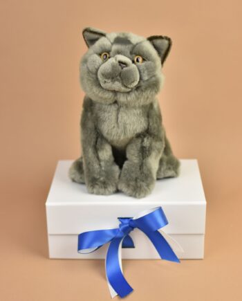 Blue Grey Cat - Send a Cuddly