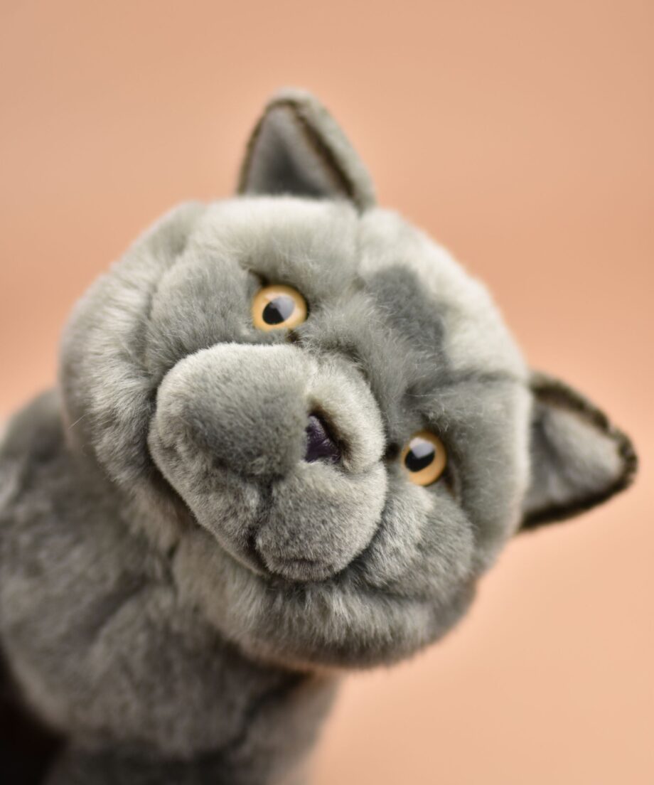 Blue Cat Cuddly Toy