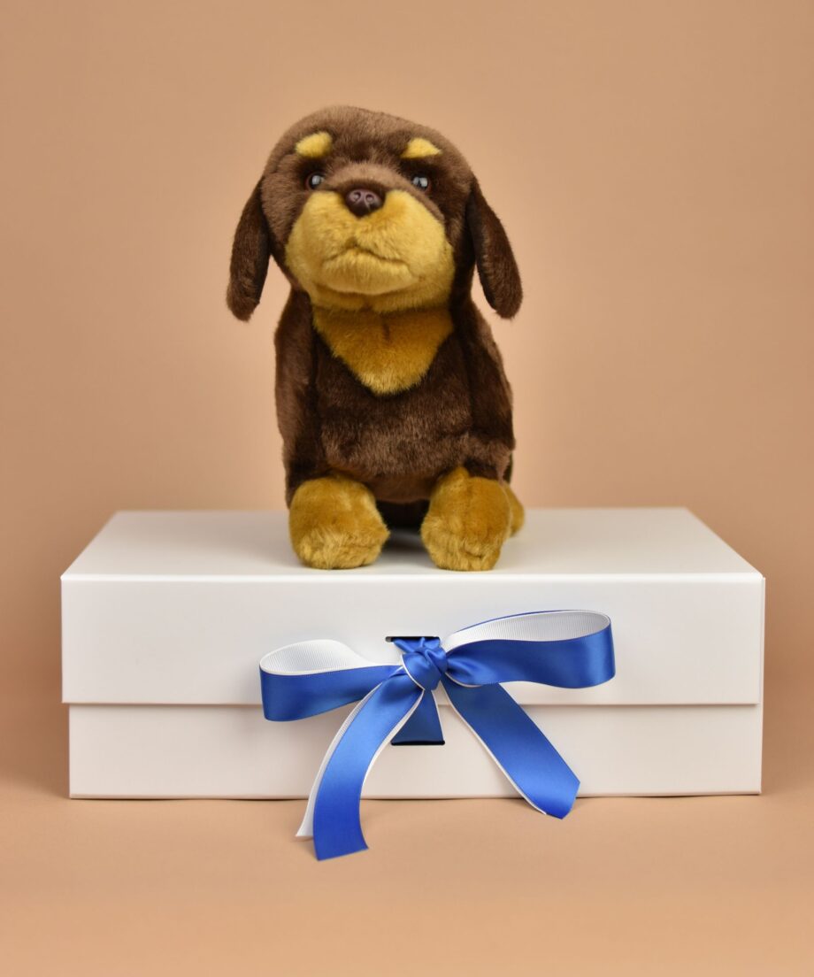 Dachshund soft toy - Send a Cuddly