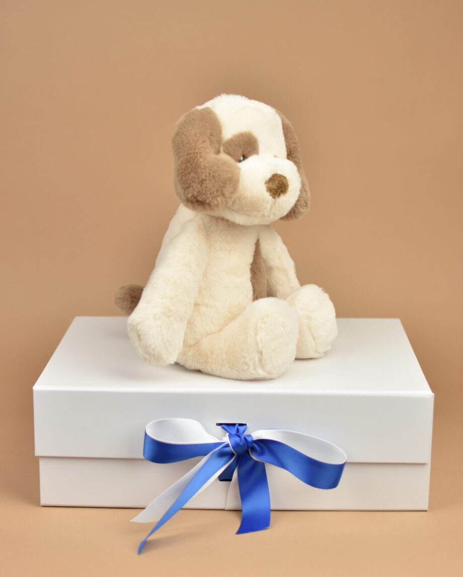 Eco Puppy Soft Toy - Send a Cuddly