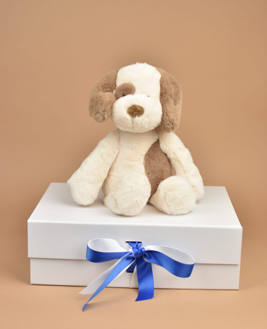 Eco Dog Cuddly Soft Toy