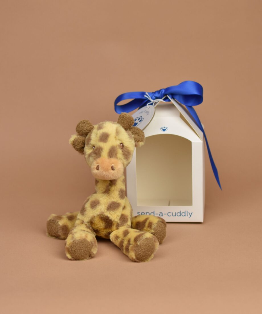 Baby Giraffe - Send a Cuddly