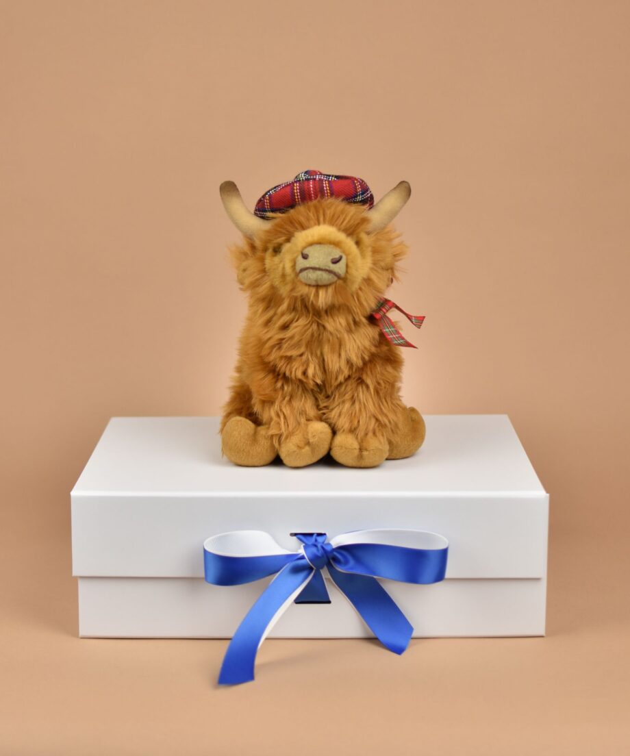 Highland Cow with Scots Bonnet soft toy - Send a Cuddly