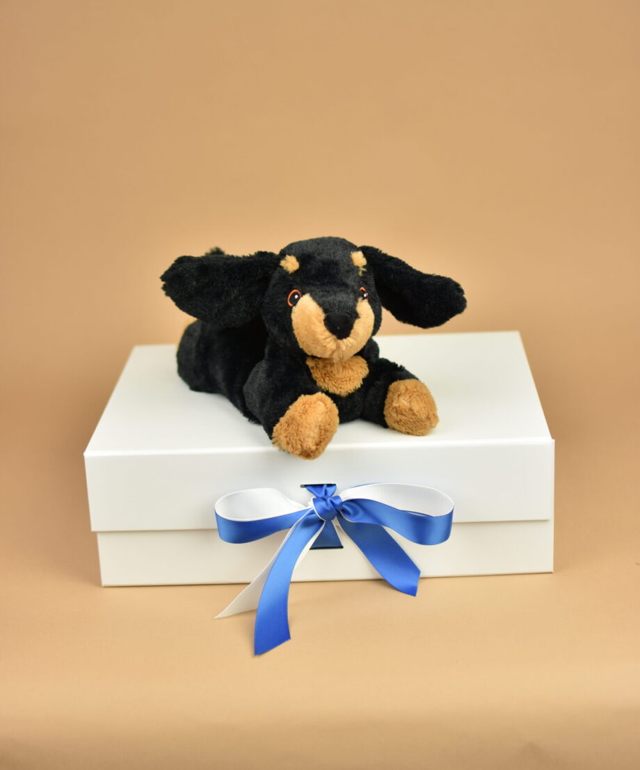 Warmies Dachshund - Send a Cuddly