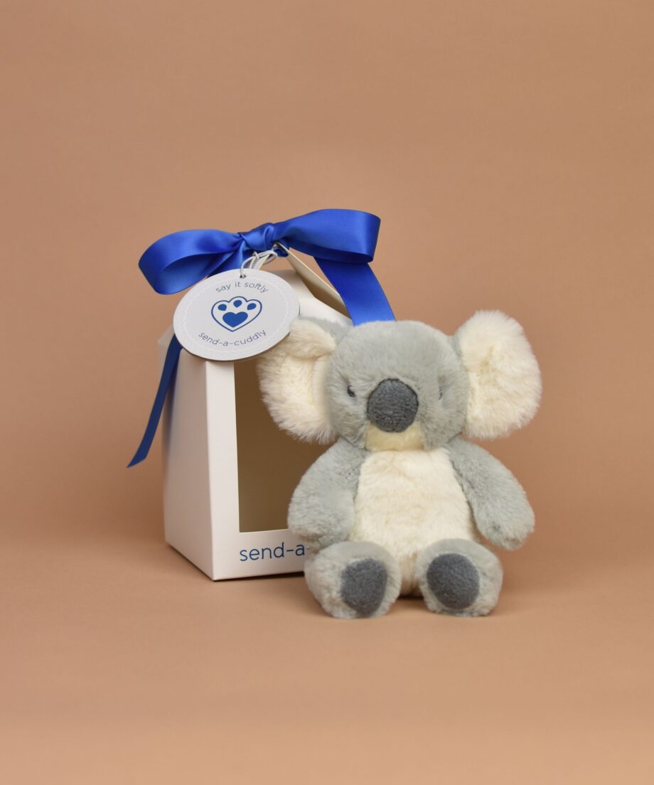 Baby Koala Soft Toy - Send a Cuddly