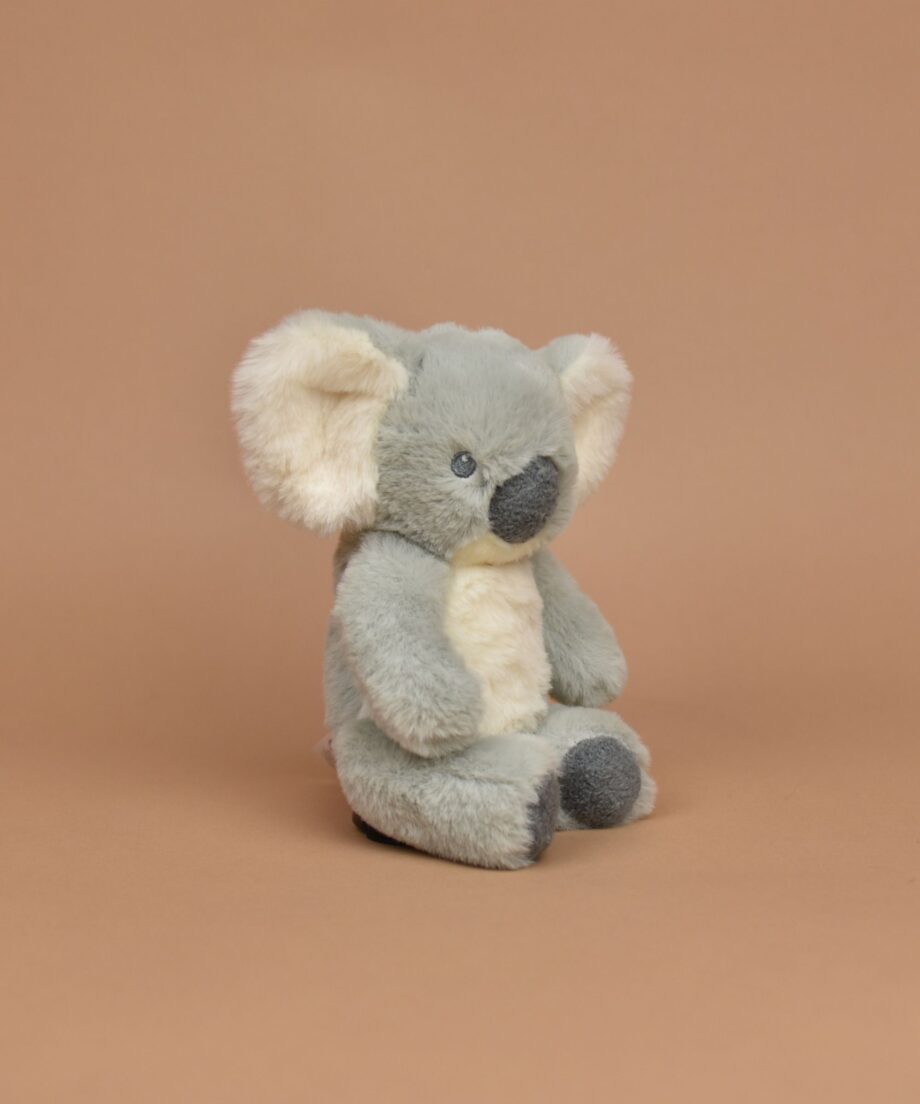 Baby Koala Soft Toy - Send a Cuddly