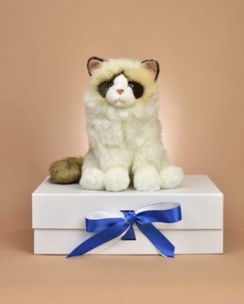 Ragdoll Cat soft toy - Send a Cuddly