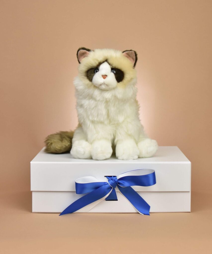 Ragdoll Cat soft and cute Cat Gift Idea Send a Cuddly