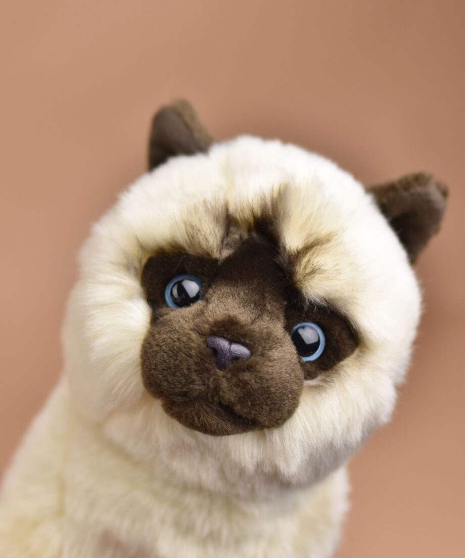 Siamese Cat soft toy - send a cuddly