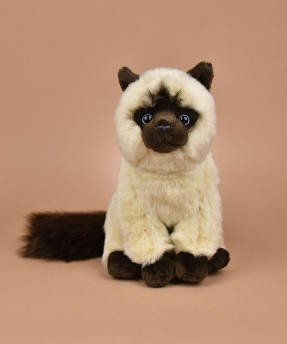 Siamese Cat soft toy - send a cuddly