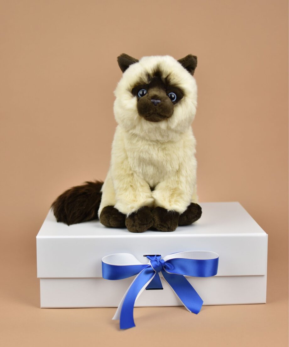 Siamese Cat soft toy - send a cuddly