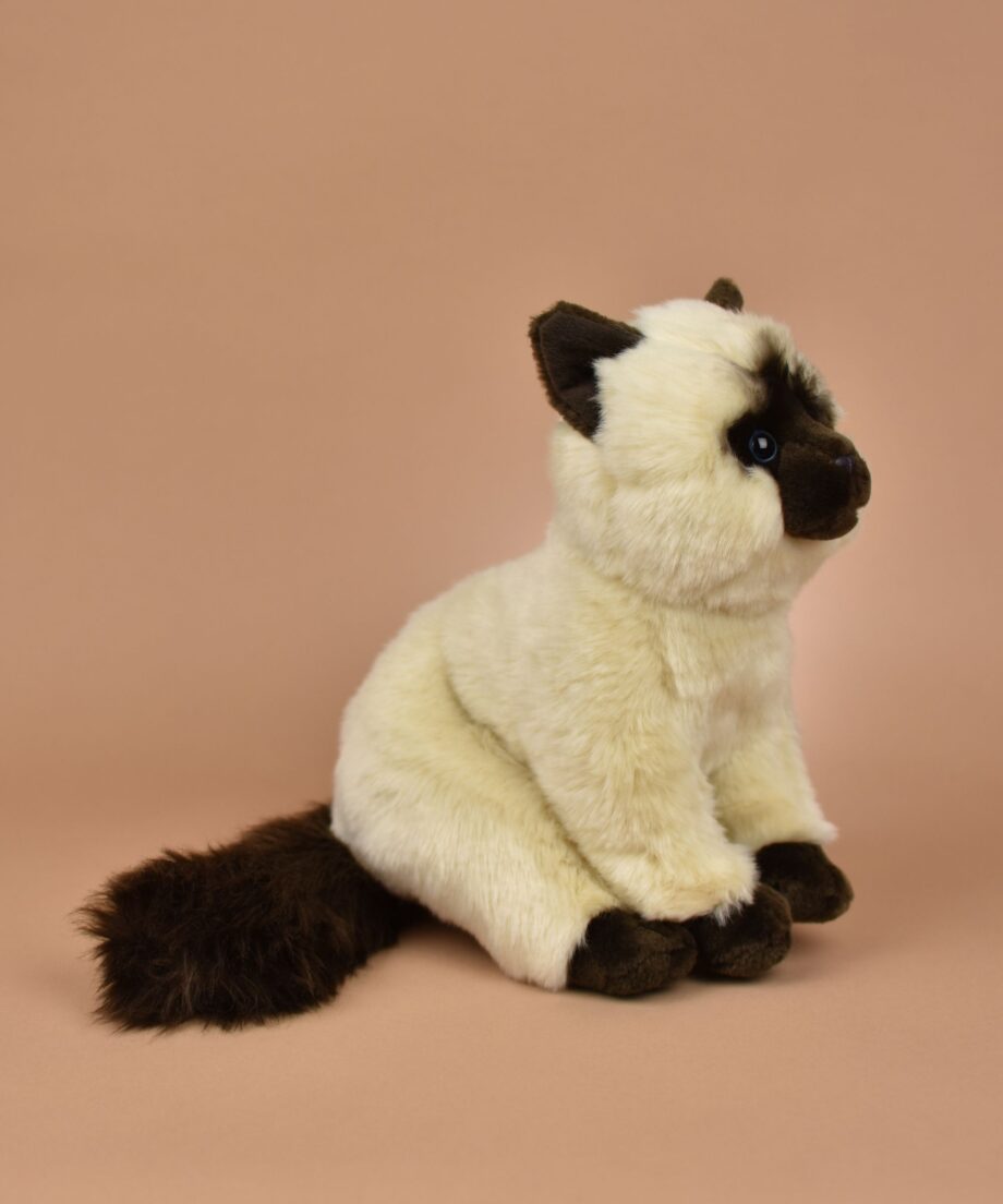 Siamese Cat soft toy - send a cuddly