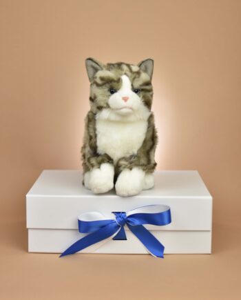 Tabby Cat soft toy - send a cuddly