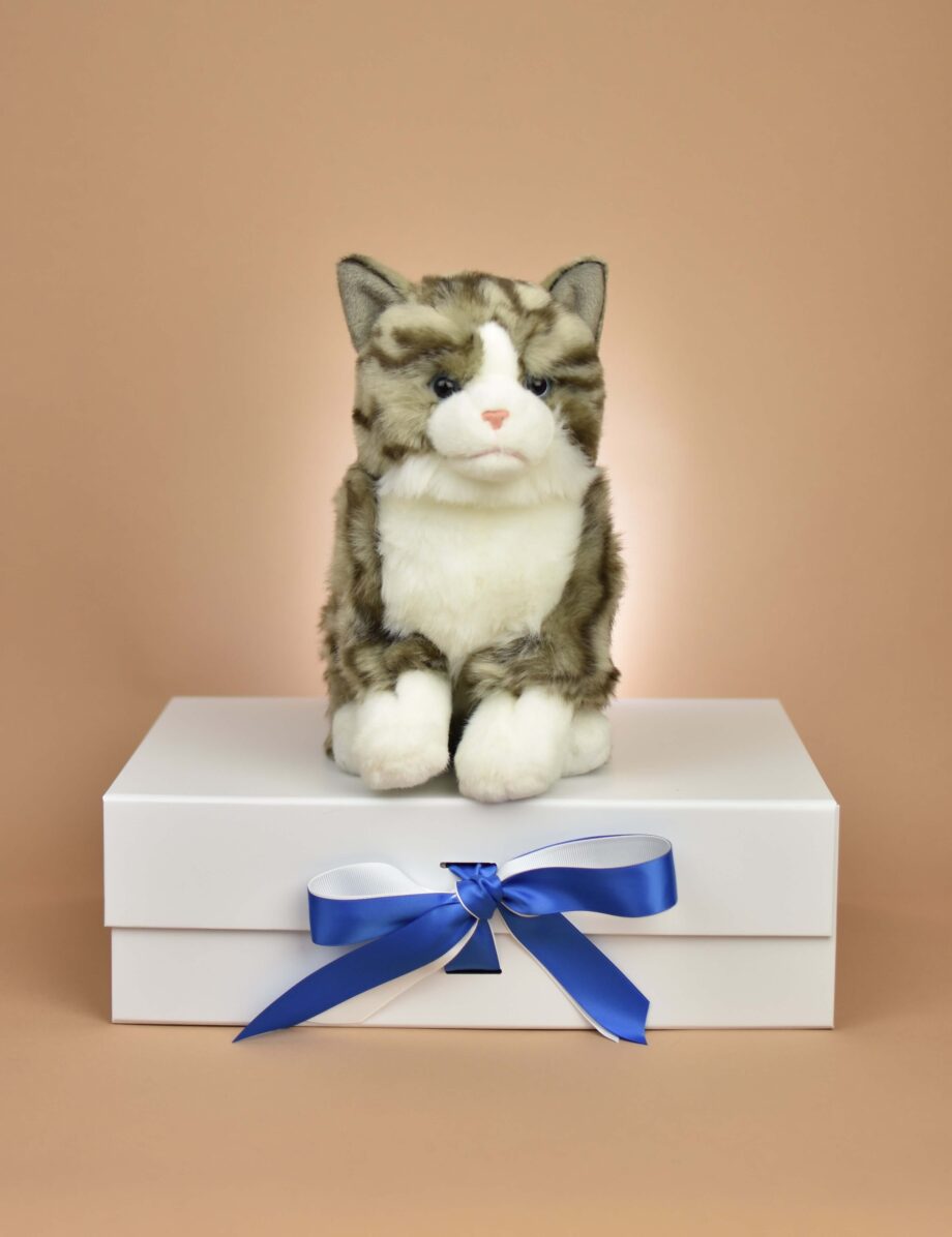 Tabby Cat soft toy - send a cuddly