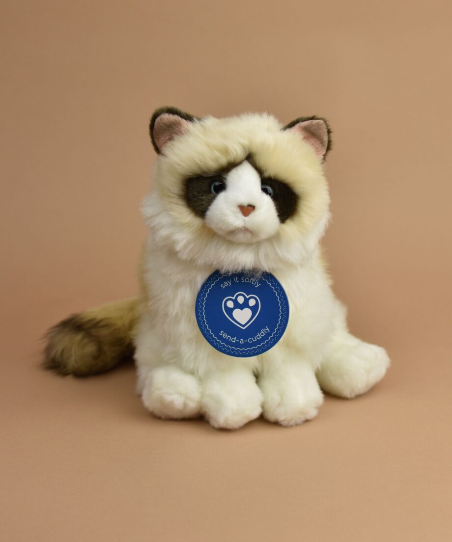 Ragdoll Cat soft toy - Send a Cuddy