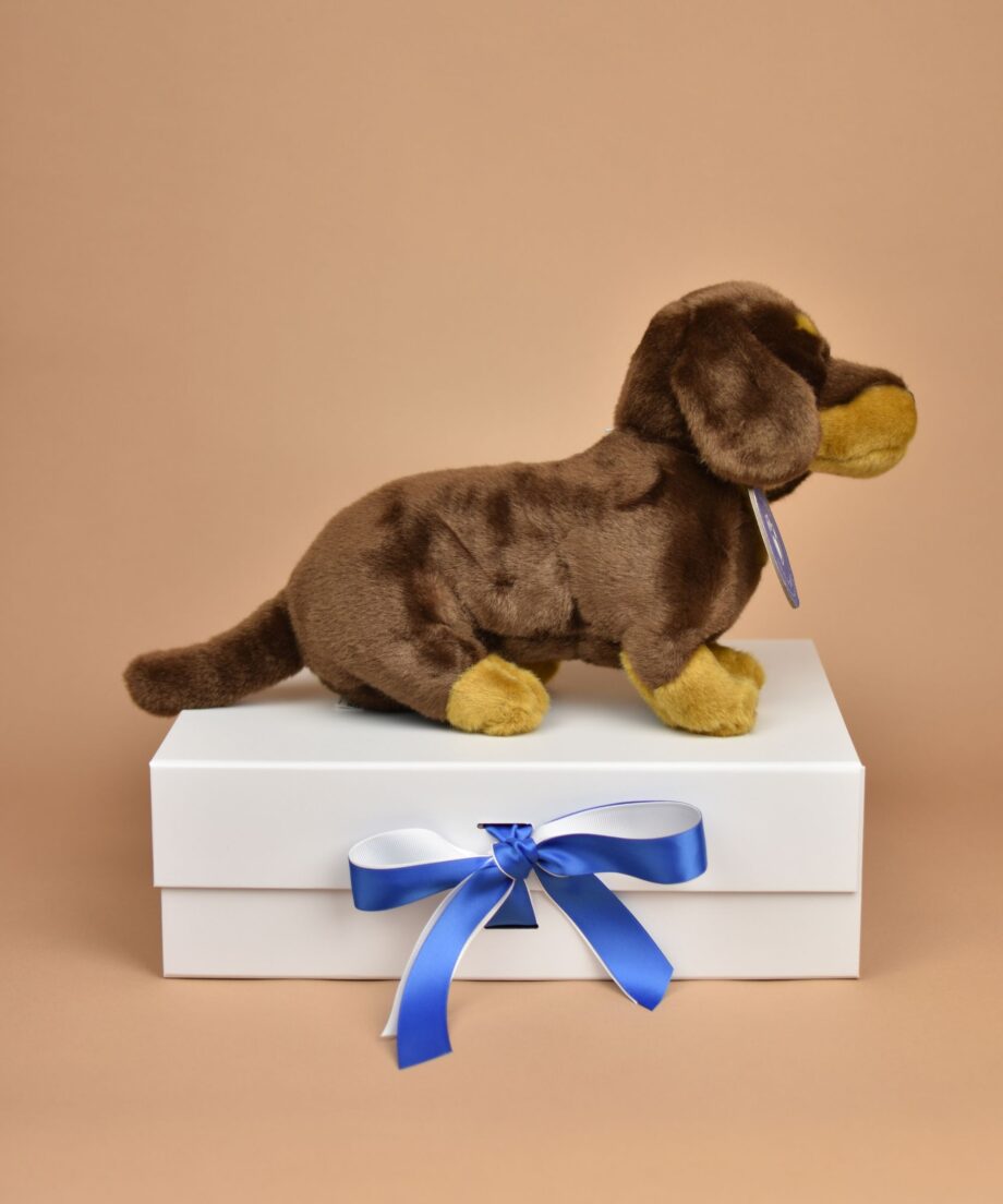 Dachshund chocolate soft toy