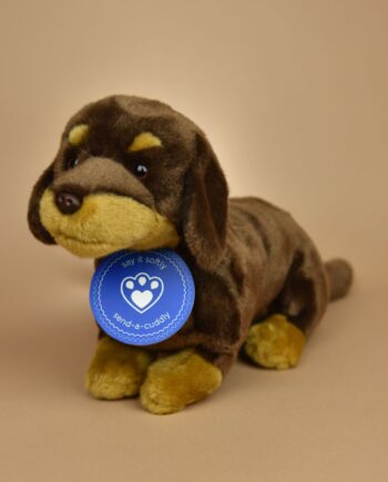 Dachshund soft toy - Send a Cuddly